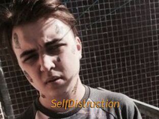 SelfDistruction