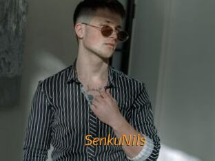 SenkuNils