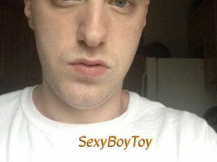 SexyBoyToy