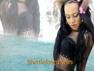 Shenielbiginches
