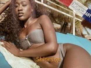 Shinesiga