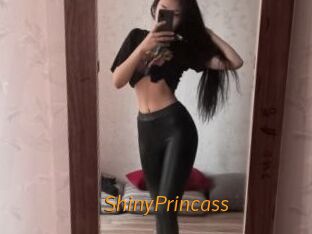 ShinyPrincass