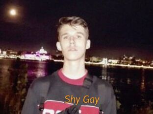 Shy_Gay Porn University