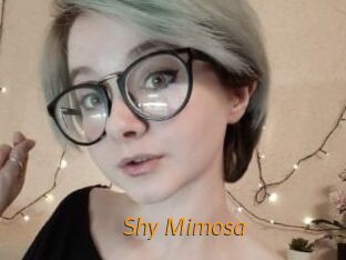 Shy_Mimosa