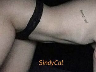SindyCat
