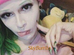 SkyBurrito