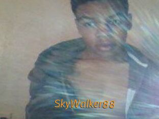 SkyWalker88