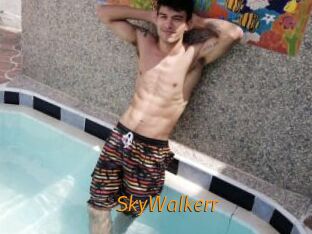 SkyWalkerr