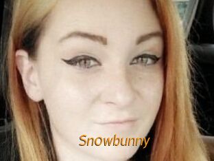 Sn0wbunny