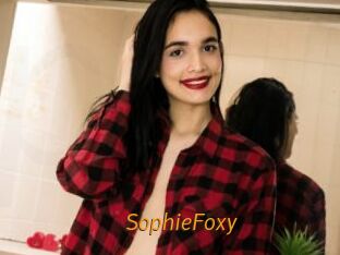 SophieFoxy Porn University