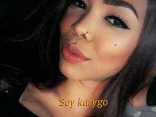 Soy_karygo