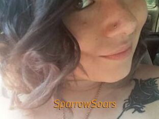 SparrowSoars