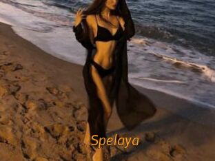 Spelaya