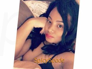 SpicySpade