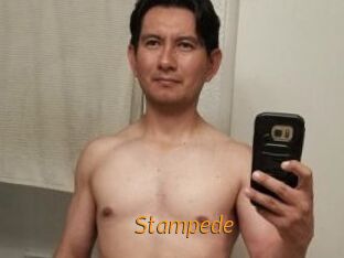 Stampede