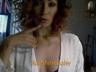 SunshineDaisy
