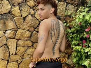 Salvatorevega