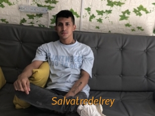 salvatredelrey Porn University