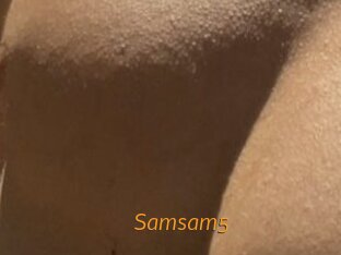 Samsam5
