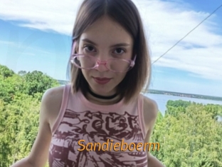 Sandieboerm