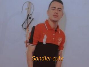 Sandler_cute
