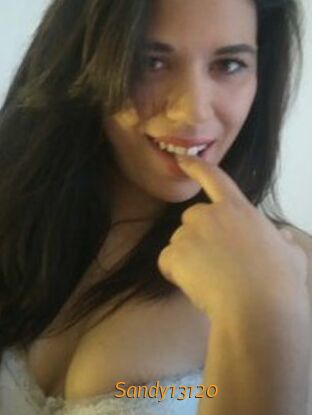 Sandy13120