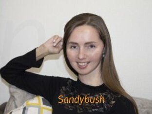 Sandybush