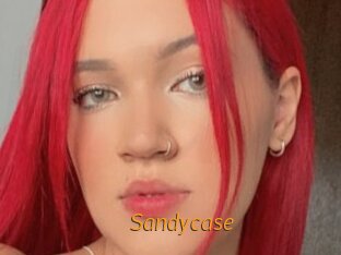 Sandycase