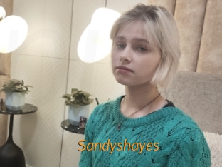 Sandyshayes