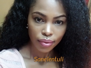 Sanelentuli