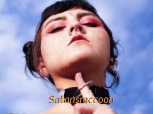 Satansraccoon