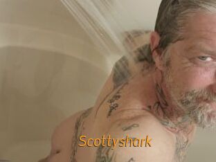 Scottyshark