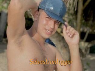 Sebastiantigger