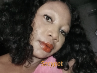 Secypot