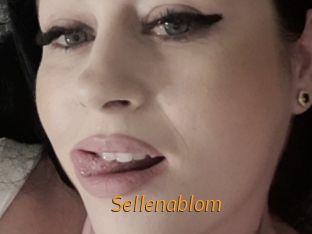 sellenablom Porn University