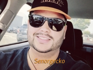 senorgecko Porn University
