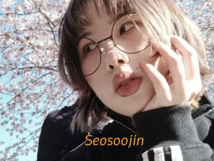 Seosoojin