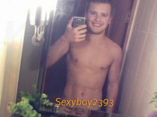 Sexyboy2393