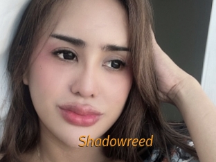 shadowreed Porn University