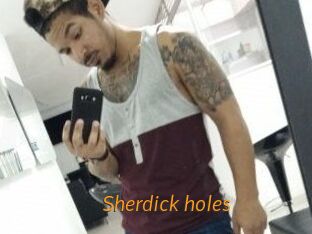 Sherdick_holes