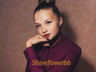 Shineflowerbb