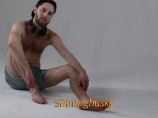 Shininghusky