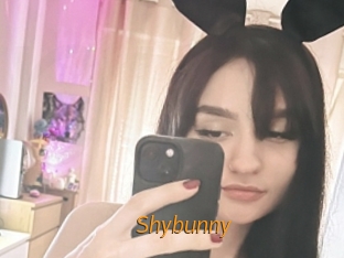 Shybunny