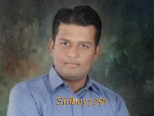 Siliboy7291