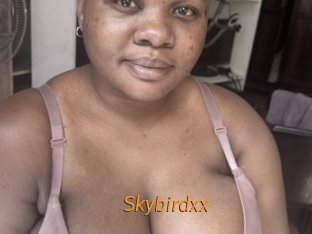 Skybirdxx