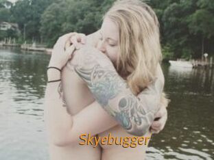 Skyebugger