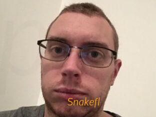 Snakefl
