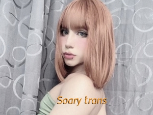 Soary_trans