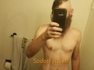 Sodomymike