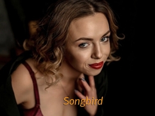 songbird Porn University